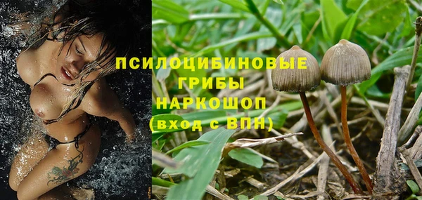 гидропоника Балабаново