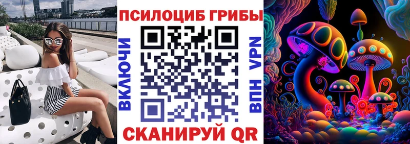 OMG как зайти  площадка формула  Лыткарино  Галлюциногенные грибы Cubensis  где можно купить  