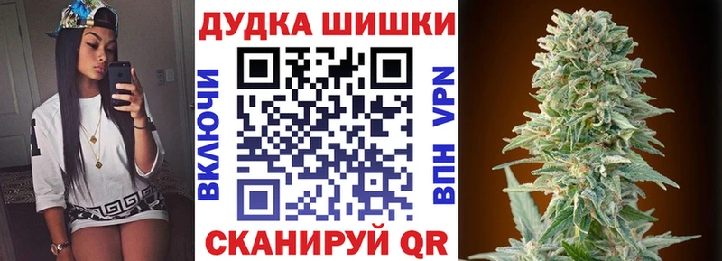 где можно купить   Лыткарино  Шишки марихуана ГИДРОПОН 